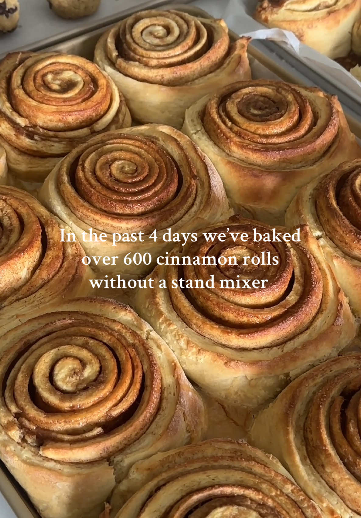 We’re gonna be at the Merrick Park farmers market on Sunday from 10 AM to 6 PM and we’re finally gonna be doing the FIU market on November 6th! #rollanddough #supportsmallbusiness 