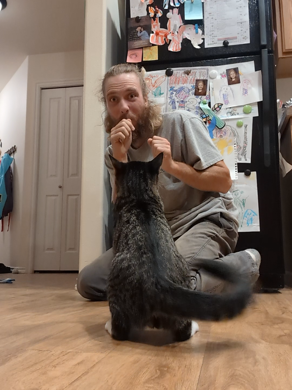 That tailwag  #cats #cat #catsoftiktok #fyp #foryoupage 