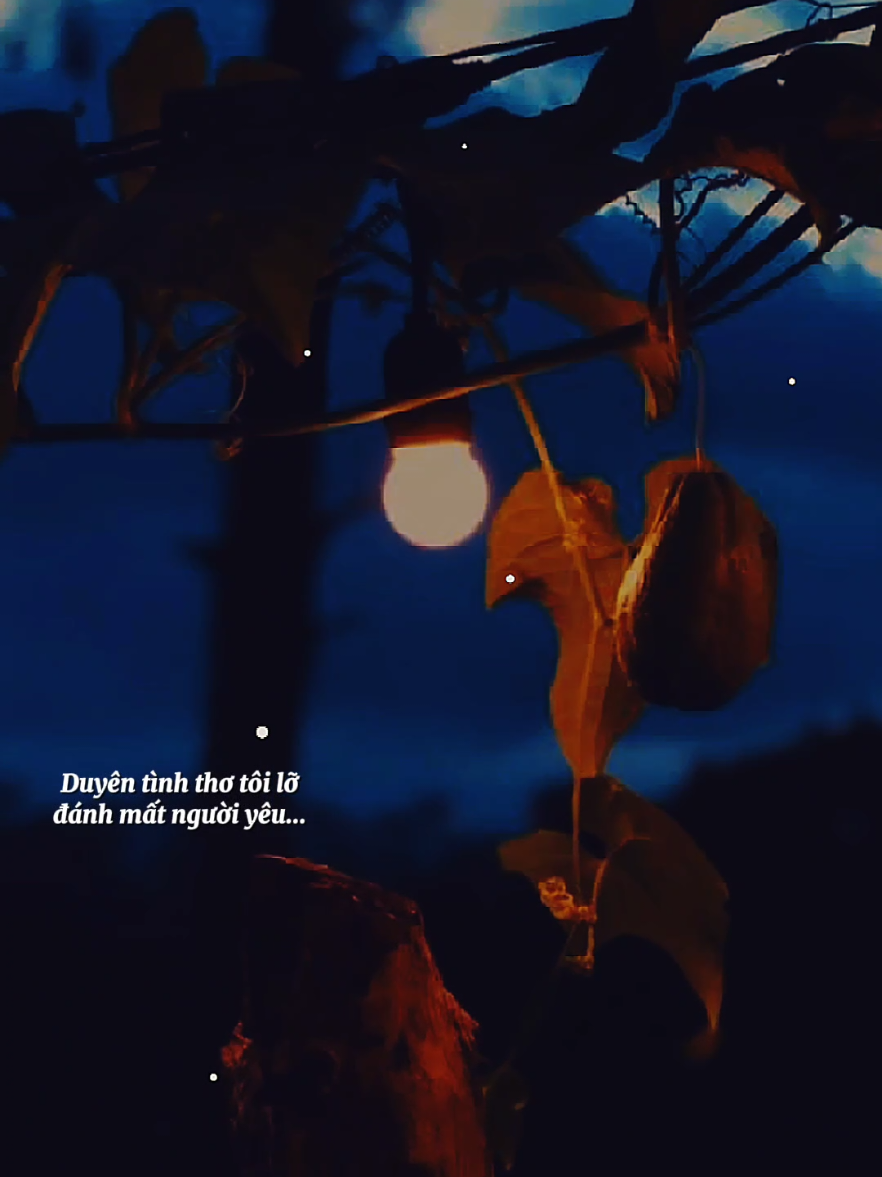 Nghèo nên không với cao son sắt thua giàu sang... [ Nhân Chứng Mười Năm ] #nhanchungmuoinam  #nhacbuontamtrang  #tramcamxuc  #maucapcut  #tram_am_nhac_084 