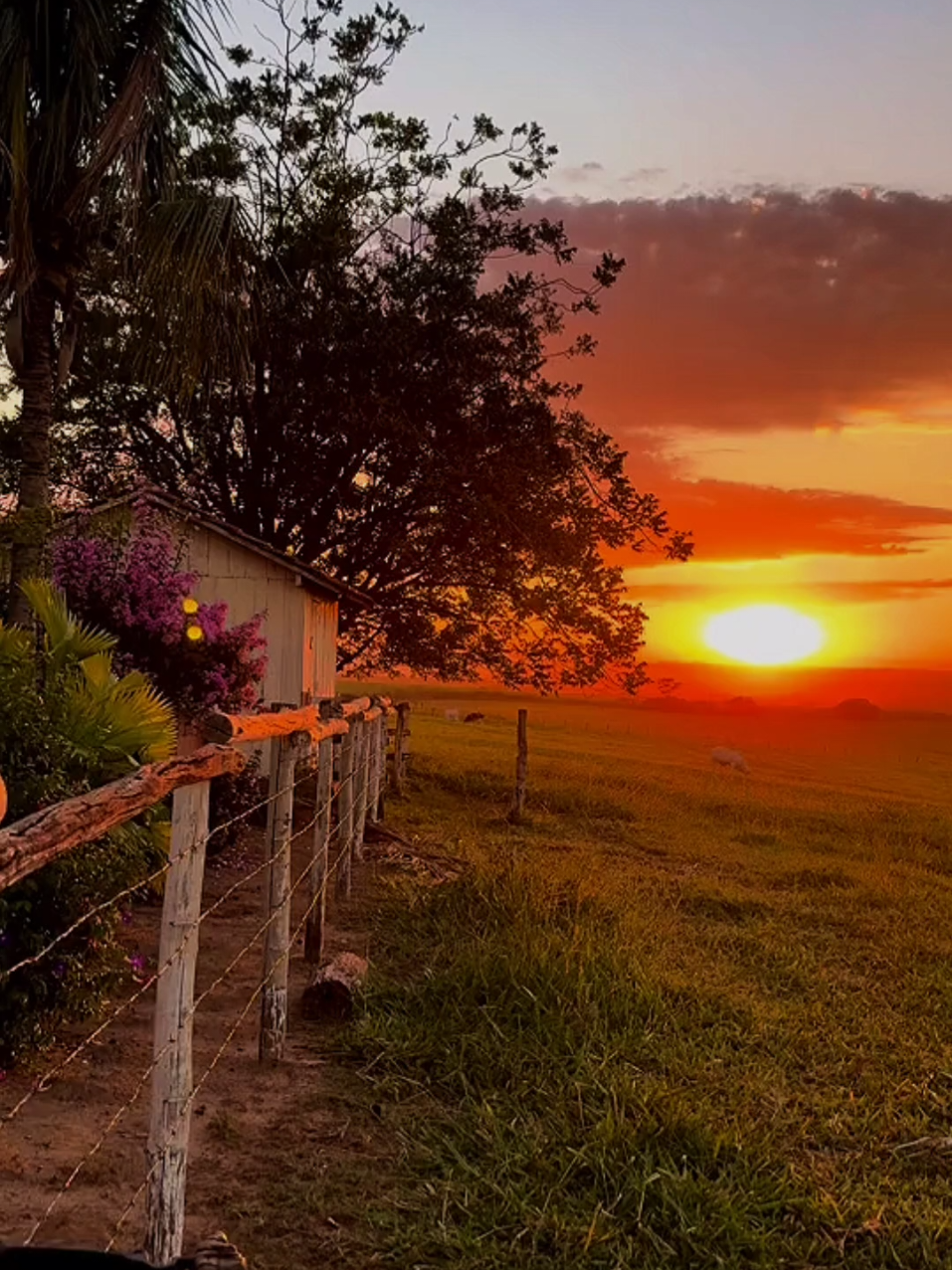 #CapCut Buenos días #Feliz y bendecido día para todos 🙏🤠🪉🎶👌#Para ti