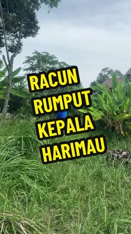 Replying to @aisyahchah90 kalau kena tempias tak de masalah, jangan racun kat pokok tu je 😅 #racunrumput #racunrumputliar #racunrumputviral 