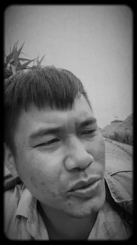 Năm Nay Lại Nháp #xuhuong  #sttdoi 