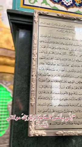 زياره مولاتي زينب عليها السلام رحله الشام ٢١/١٠/٢٠٢٣#زياره #زياراتي #زيارة #زيارات #زينب_عليها_السلام    