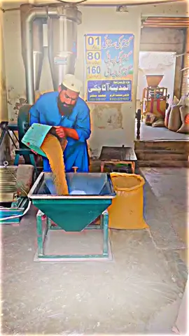 gandum main paisy 😂🤣 wait for end 😂🤣 #khizeromer #khizeromervlog #khizeromerfunnyvideo #viral?trendingvedio🤑🤑 