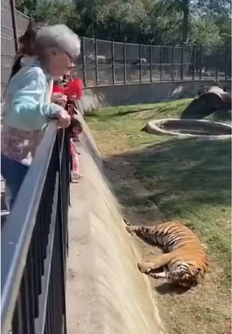 buruan di co deh toner badan saffron nya 🥰 #fakesituation⚠️ #berandatiktok #kontenlucu #kontenhiburan #xyzabc 