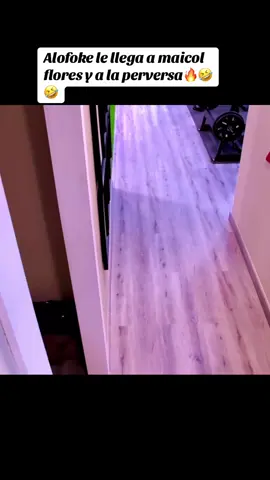 #casadealofoke2 