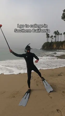 Can’t think of too many other places where you can free dive before class #dayinmylife #socal #collegelife 