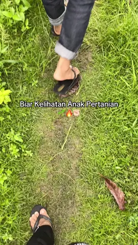 Seseru itu Masuk Agrotek🔥#fyp #agrotekunpab #agroteknologi #lahanpertanian #creatorsearchinsights 