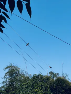 অভিমান করা ভালো কিন্তু অভিমান করে চলে যাওয়াটা ভালোনা../🙂#foruyou #vairal #bdtiktokofficial #foruyoupage @TikTok Bangladesh 