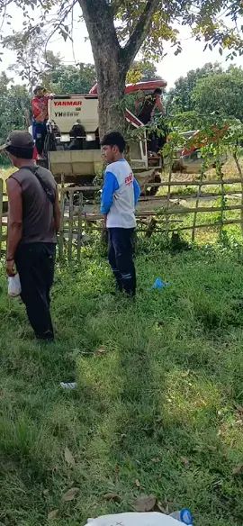 #petani 