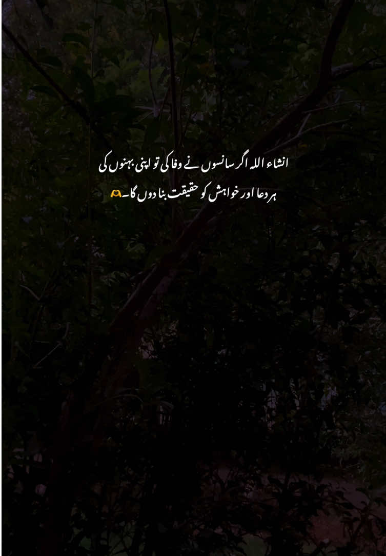 🫶🥺#fyp #poetry #grow #viralvideos #aestheticvideos 