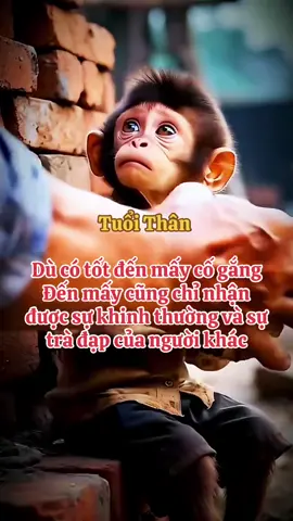 #Tuoithan#vatva #suhuong #1992 