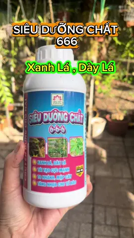 Siêu Dưỡng Chất 666 Giúp Cây Xanh Lá Dày Lá, tái tạo cực mạnh#phanbon70 #xuhuong #viral 
