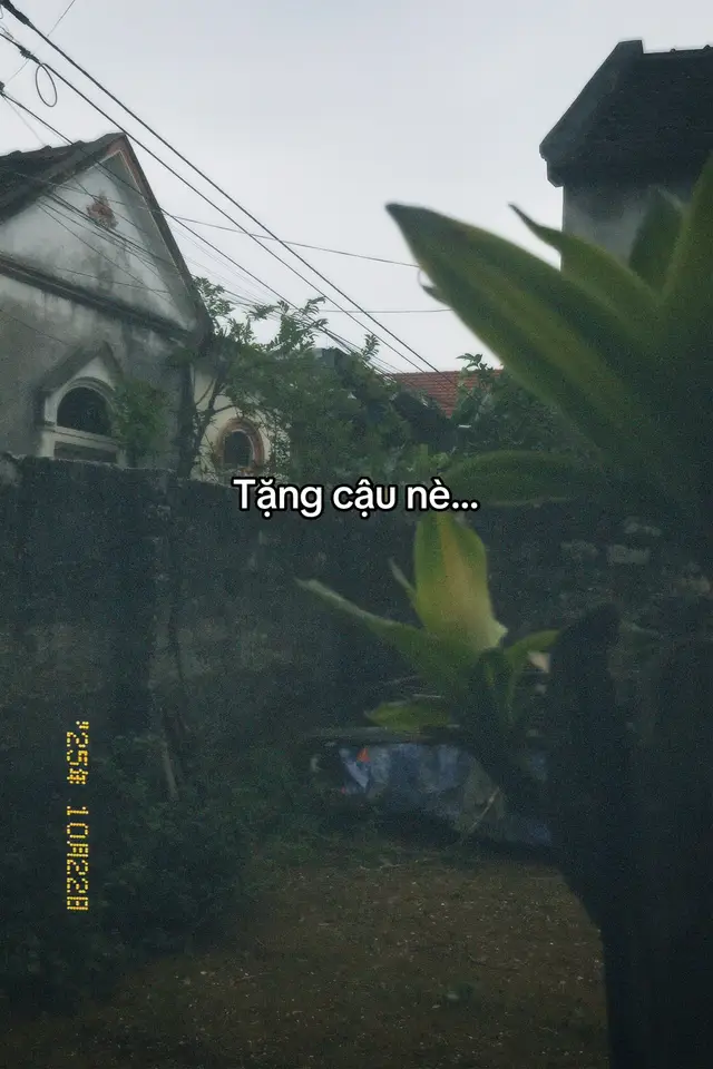 Tặng cậu nè…..#tamtrang #xuhuong #dww 