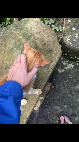 🐾🐾