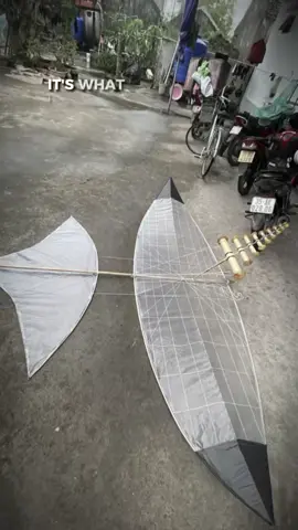 Tre vẫn ok hơn ae nhỉ#dieusaovietnam #diéuaoninhbinh #diéuaoquehuong 