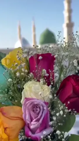 محبت کے کنول کھلتے ہیں #trendingvideo #fypviral #islamic_video #mustwatch #tiktokviral 