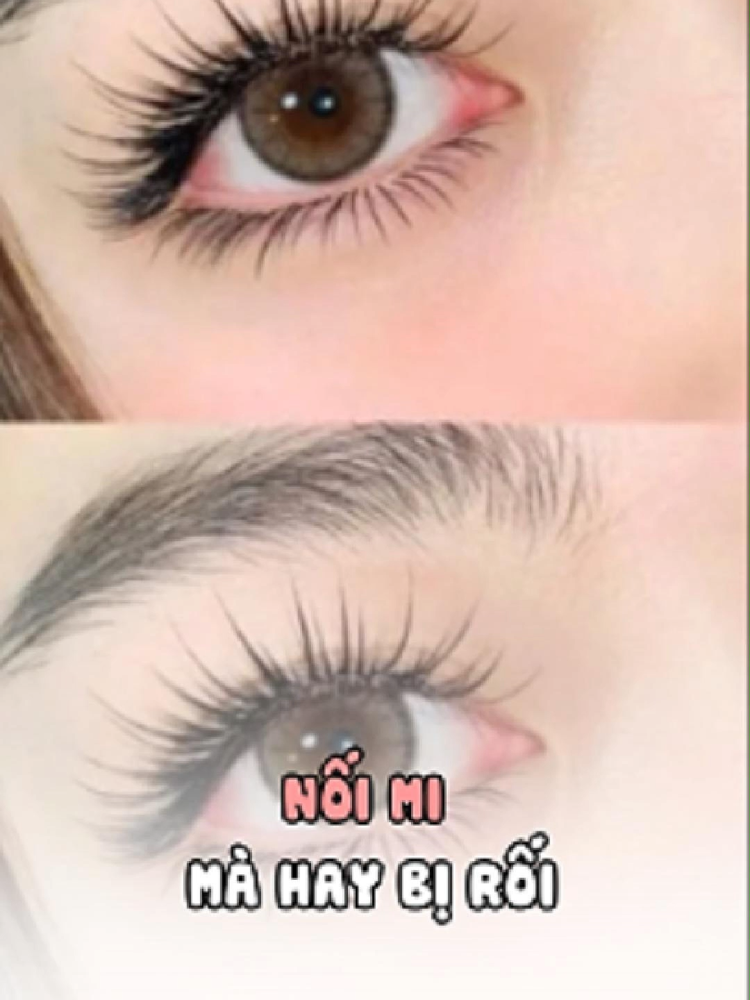 Nối mi mà hay bị rối thì phải làm sao chị em nhỉ??#dungcunoimi #mideptunhien #tongkhonoimihanhnguyen #viralvideo #BeautyTok #mihottrend #chiasekinhnghiem