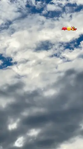 #اكسبلورexplore❥🕊🦋💚❤ #اخر_عباره_نسختها🥺💔🥀  