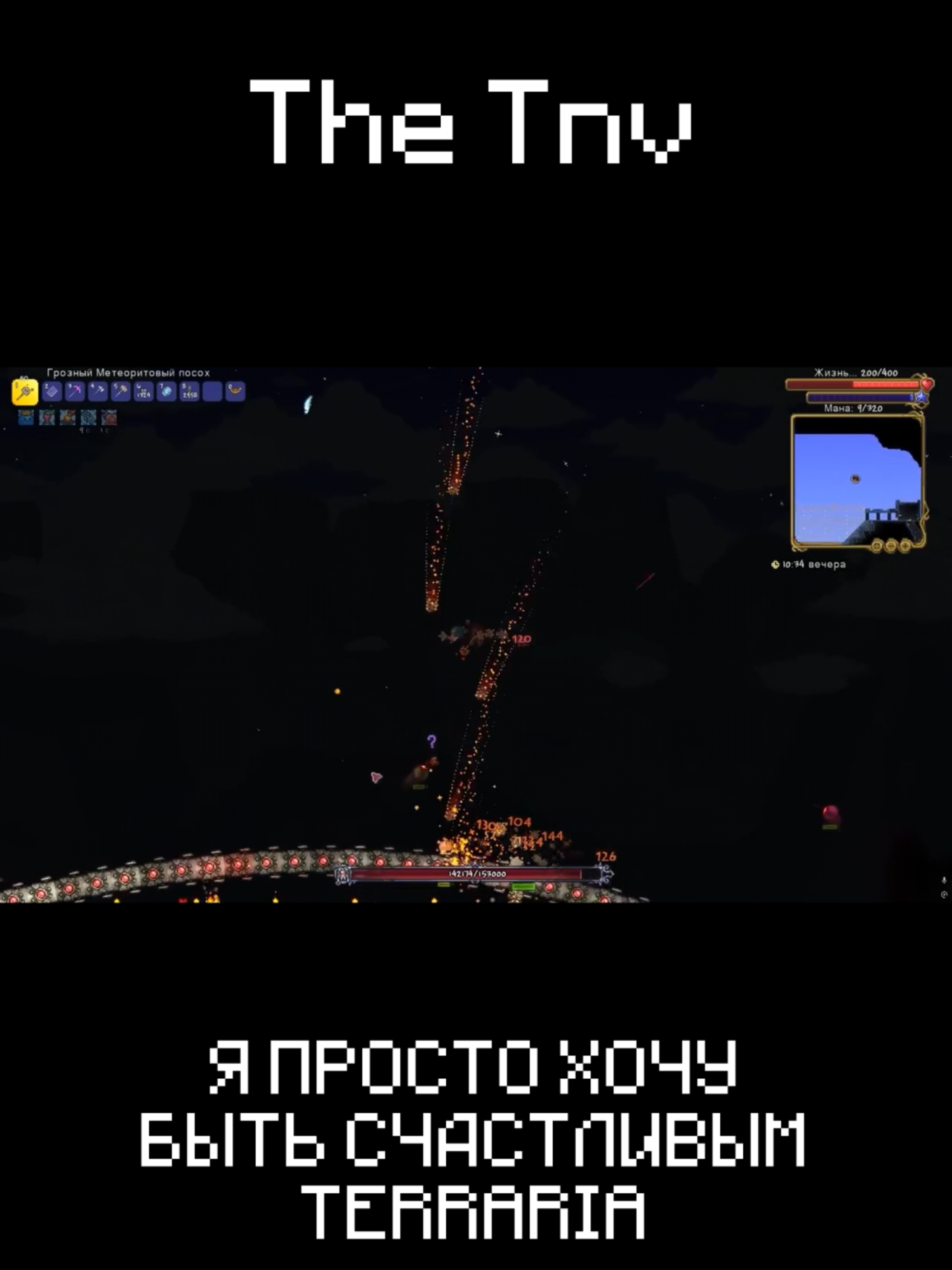 Я ПРОСТО ХОЧУ БЫТЬ СЧАСТЛИВЫМ | TERRARIA The TnV #terraria #террария #thetnv
