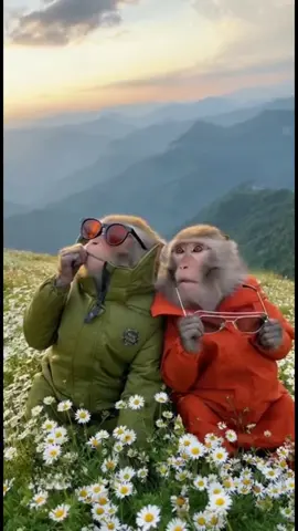kapan kita kesini gaes 👩‍❤️‍👨 #pendakikalcer  #pendakifomo  #pendaki #pendakigunung  #gunung 
