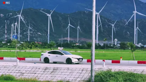 Khung cảnh làm dịu tâm hồn  #mazda3 #canhdongdiengio 