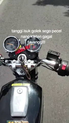 berbelit-belit🔥inpo mancing ae kawan #padahariini #rxkingindonesia👑🇮🇩 