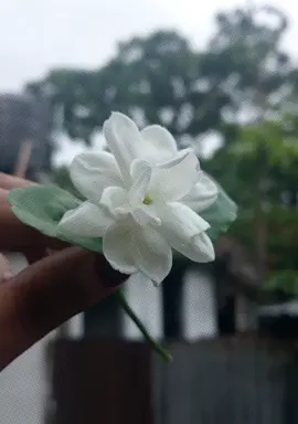 #CapCut আমি আমার বাবার রাজ কন্যা❤️