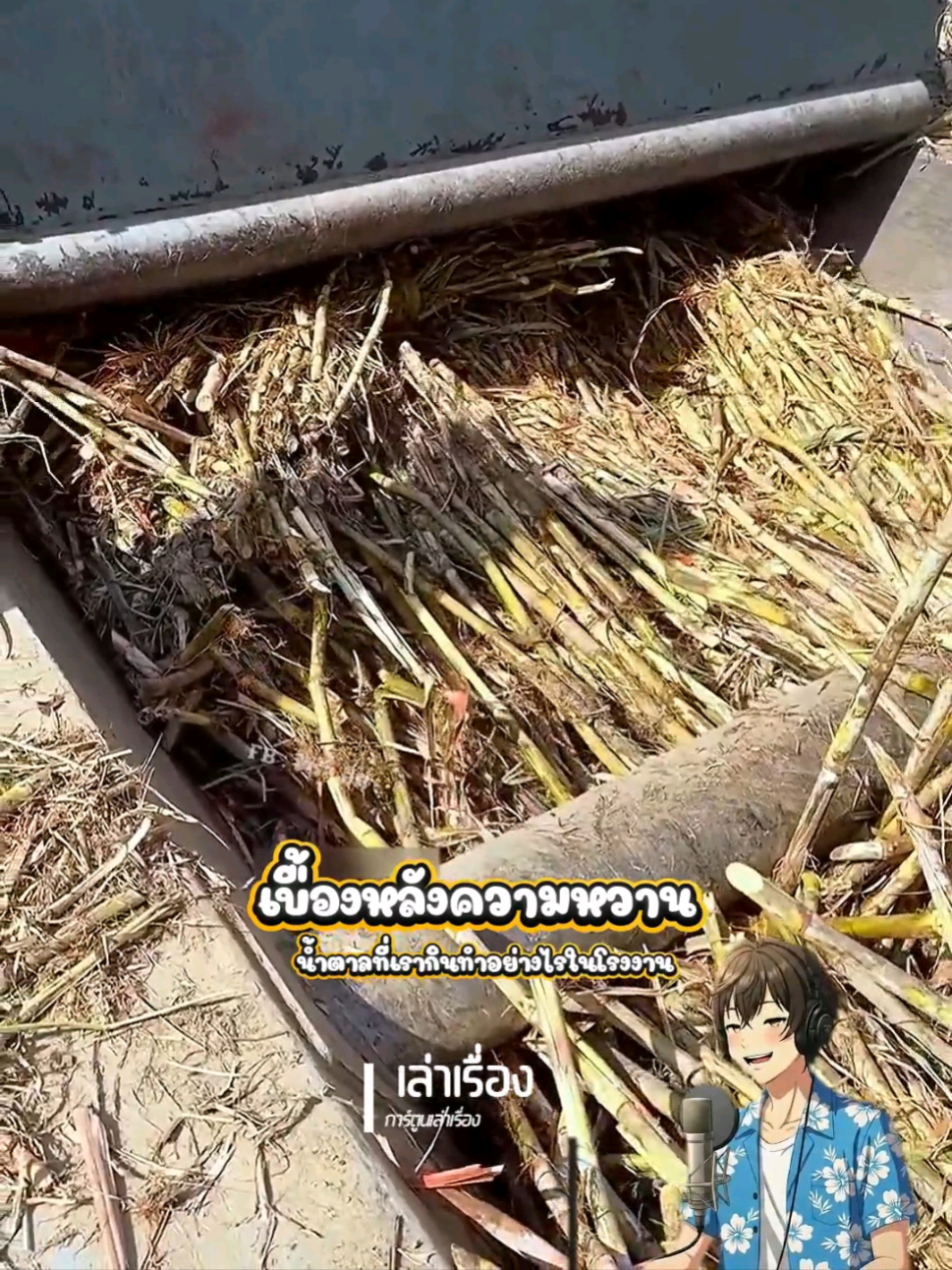เบื้องหลังความหวาน #viral 