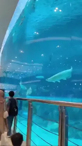 Aquarium pecah basahin seluruh mall - Prompt Sora2 di komentar