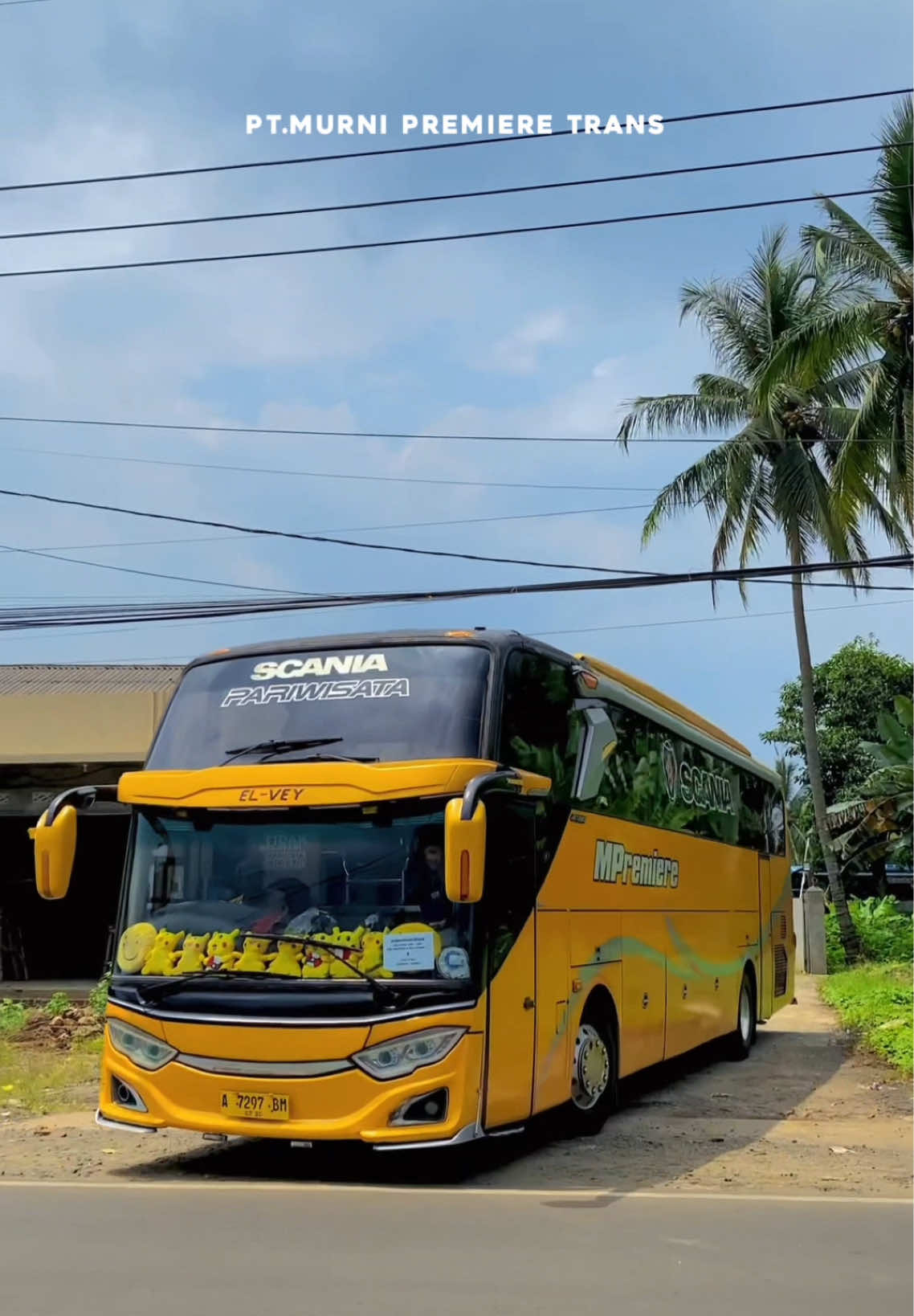 Ready kakak untuk yang mentul-mentulnya😎🔥  #fyp #scania #busmania #mpremiererental #masukberanda 