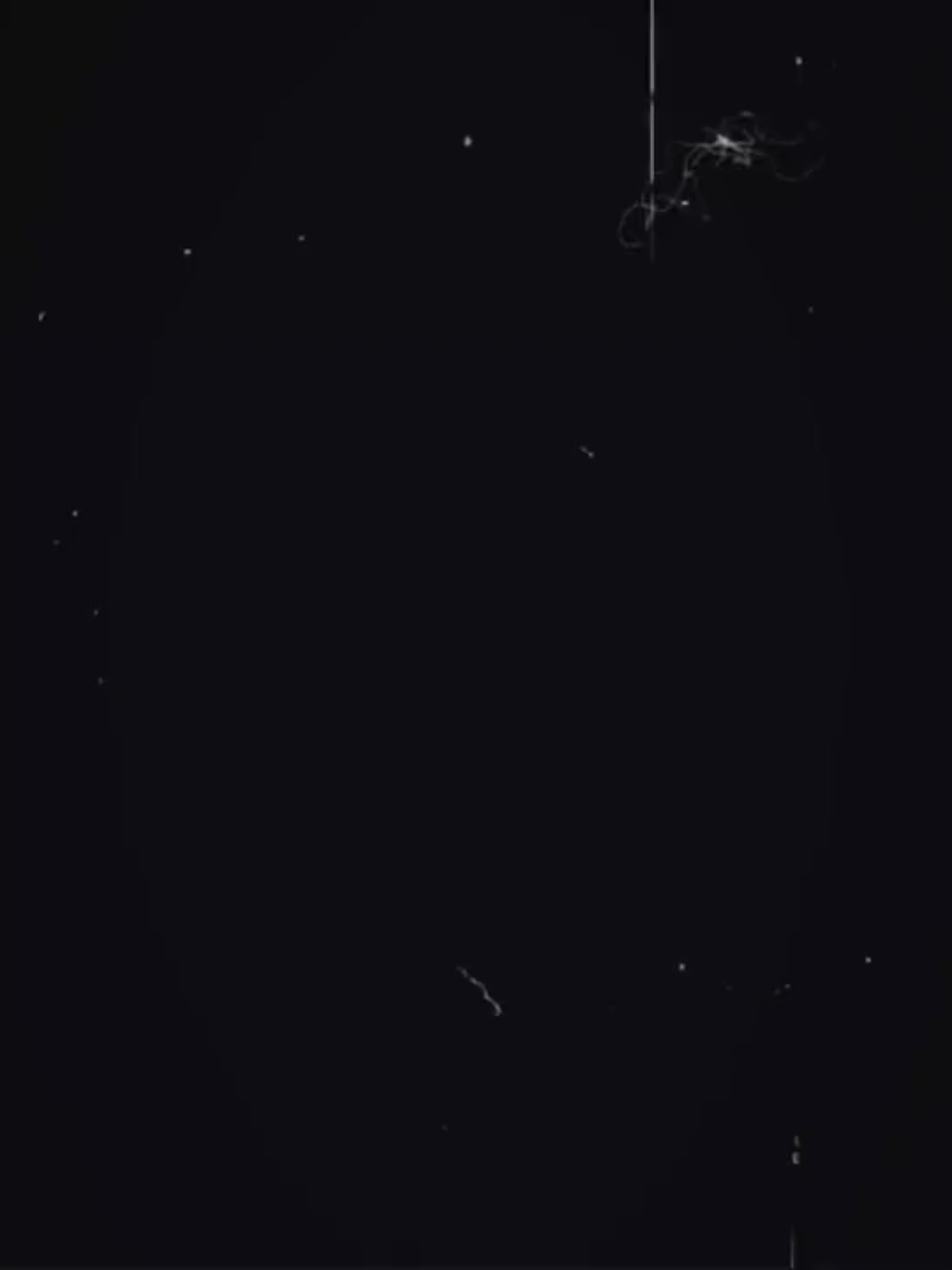 দেখেছেন জগৎ টা কেমন,,😅❤️‍🩹 #viraltiktok #foryoupage #freefire_lover #free #foryou 