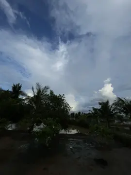 “ngước nhìn lên trời cao và hỏi trăng sao…#nhactamtrang #khiphaiquendi #phanmanhquynh 