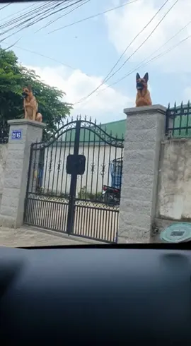 Bảo vệ này uy tín 😂 😂😂#sora2 #xh #fyp #chocung #pet 