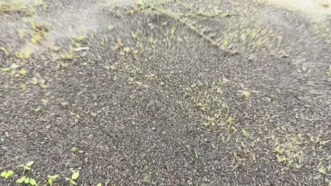 Loading Panggung Adella Event Jamda 2 Jawa Tengah //Lapangan Kota Baru Buntu Kroya Jawa Tengah #yrki_indonesia  #kingernusantara  #INFOJAMDA2JAWATENGAH  #yrkipemprofdiy  #yrkijateng 