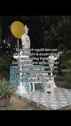 “ đừng trách người làm con khổ “ 🙏🪷#phatphapnhiemmau#phatgiao#fyp #xh#xhhhhhhhhhhhhhhhhhhhhhh 