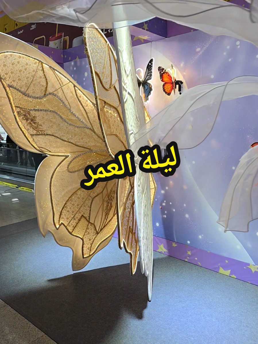 فراشة تستاهلها كل #عروس # شو رايكم بالفكرة؟