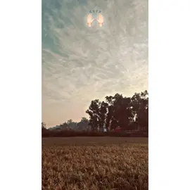 Tanu ta odna v sakhya Asa🥹🙌🏻#fypage #پنجابی_کلچر🌾🍂 #viewsproblem #pindalay #unfrezzmyaccount @TikTok 