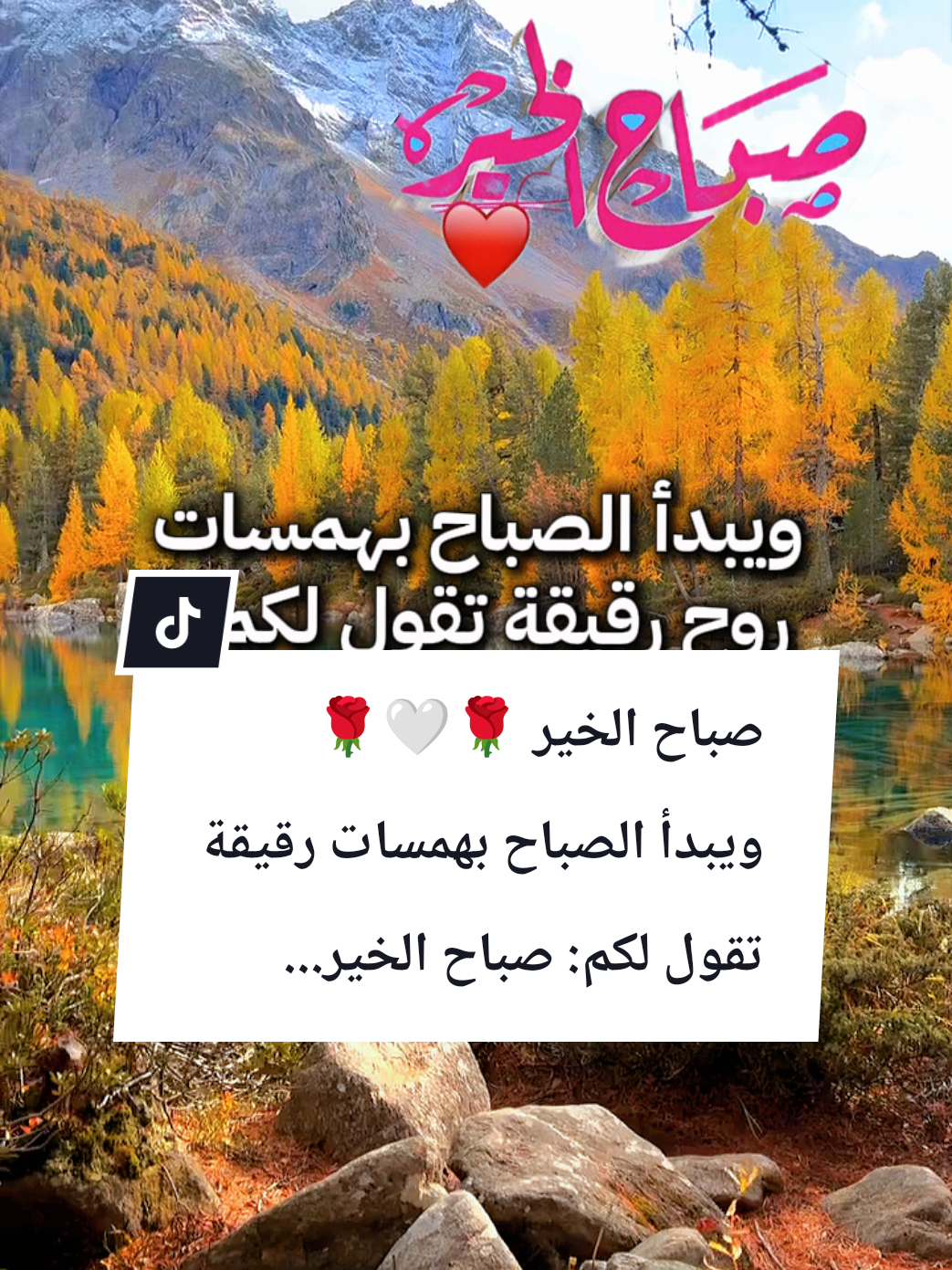 #souzan396 #صباح_الخير  صباح الخير 🤍🌹☕ويبدأ الصباح بهمسات رقيقة تقول لكم...