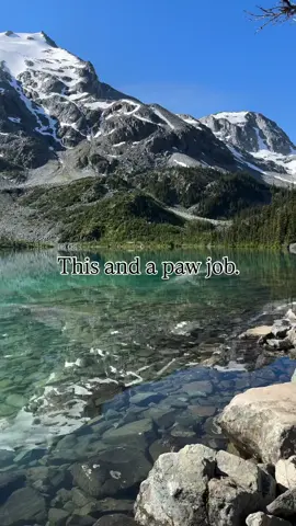 Absolute perfection 🙌🔥 . . . . . . #furry #memestiktok  #shitpost  #viral  #beautifuldestinations 