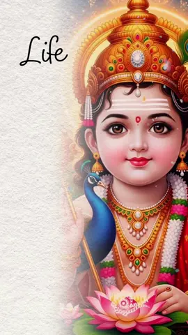 #CapCut #fyp #fypシ゚viral #creatorsearchinsight #goviral 