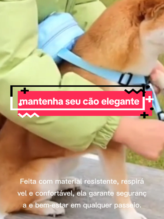 deixa seu cachorro no estilo mochilinha muito bonita#mochilapet #passeiopet 