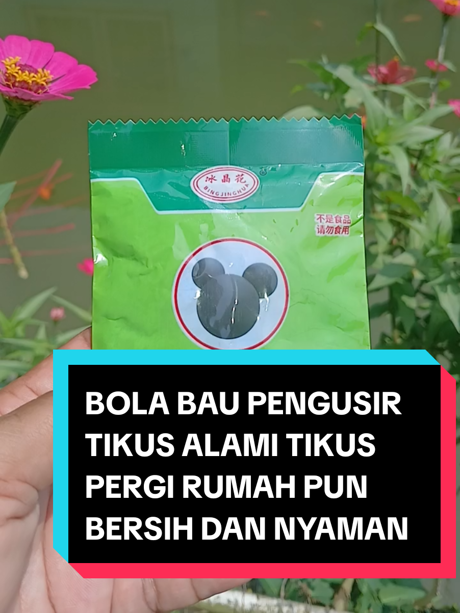 Atasi masalah tikus dengan bola bau pengusir tikus alami tikus pergi rumah pun bersih ini solusi efektip  tanpa  menguankan racun pembunuh tikus hanya mengunakan bola hijau kecil ini #pengusirtikus #pembasmitikus  #bolabaupengusirtikus  #ModalKontenDoang #SiPalingAffiliate  