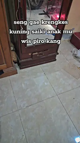 krengkes e cat catan kuwi era tahun piro kang 🥺😇🥰 #fyp #xybca #herexjatim #herex #herex1200m 