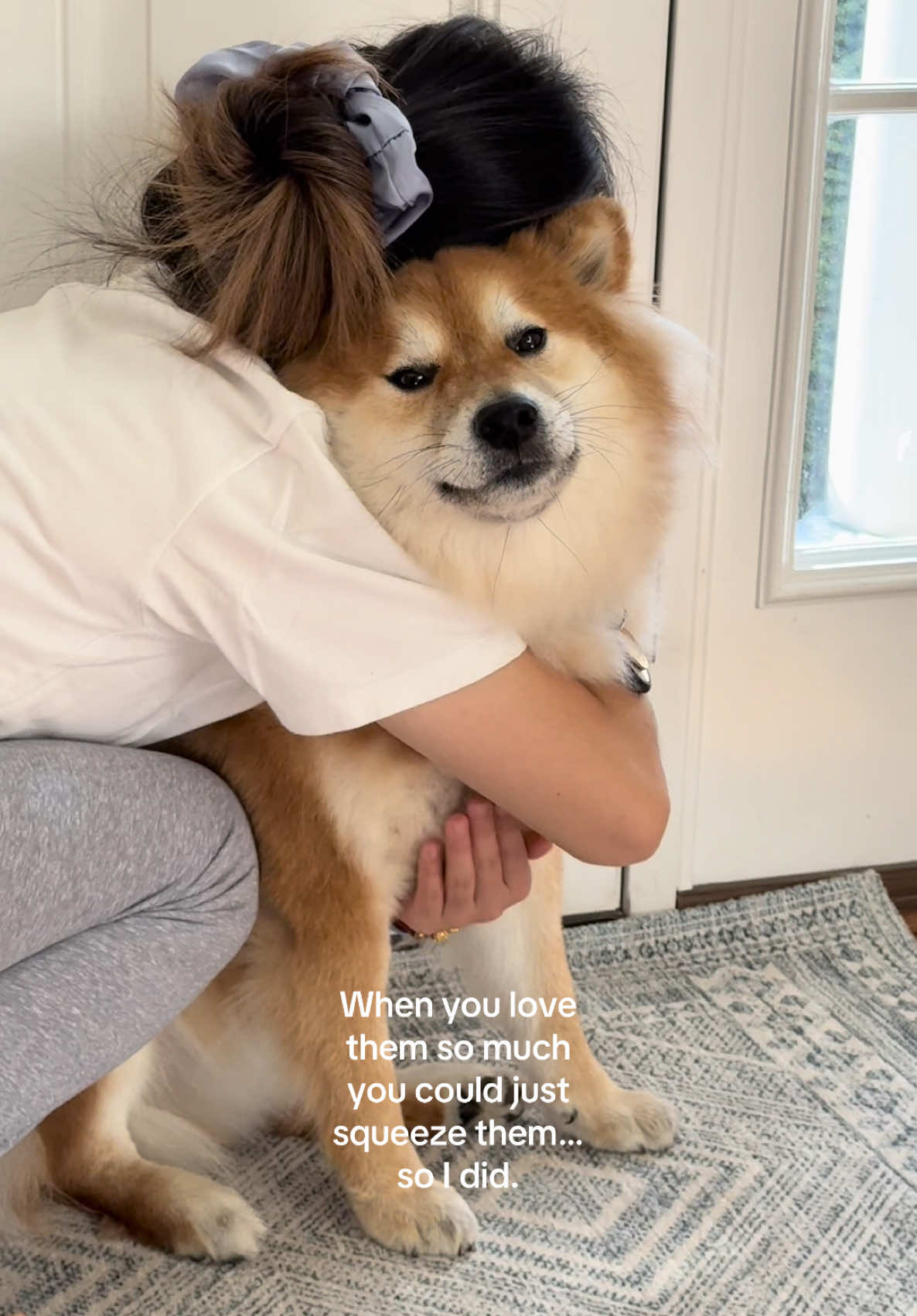 My resume: Professional hug pillow #shiba #shibainu #cute #hugs #fyp 