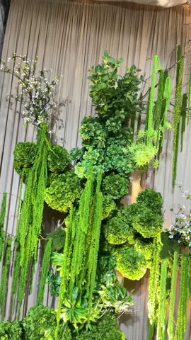 backdrop full xanh lá trên nền vải be, chủ đạo là hoa tú cầu cũm cũm lắm ạ !!!!                                     #Xuhuong #viralvideo #backdrop #hoaluacaocap #UyenUyenweddingandevent 