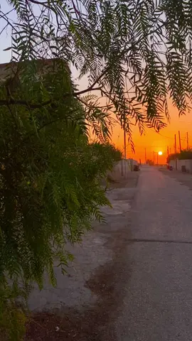 #صباحكم_سعادهـ🌸🍃 