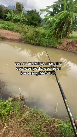 kok inpo opo tak inpo? #storymancing #microfishing #fypage 