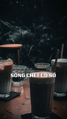 Phú quý do trời ...#tamtrang_8888 #thinhhanh #nhachaymoingay #trend 