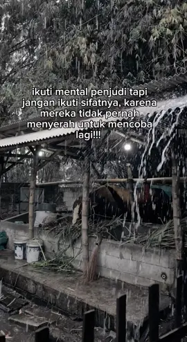 ambil dan contoh hal baiknyaa☺️#perintisbukanpewaris #peternakmuda #suksesbutuhproses #suksesmuda #motivation 